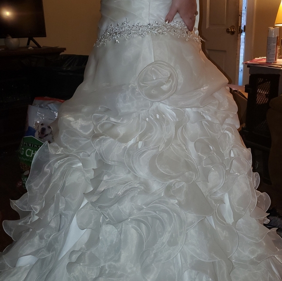 Wedding/Formal Gown New pics added - Picture 11 of 12